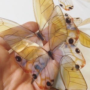 May include: A collection of delicate, translucent butterfly wings with intricate patterns and brown veins. The wings are layered on top of each other, creating a beautiful and ethereal effect.