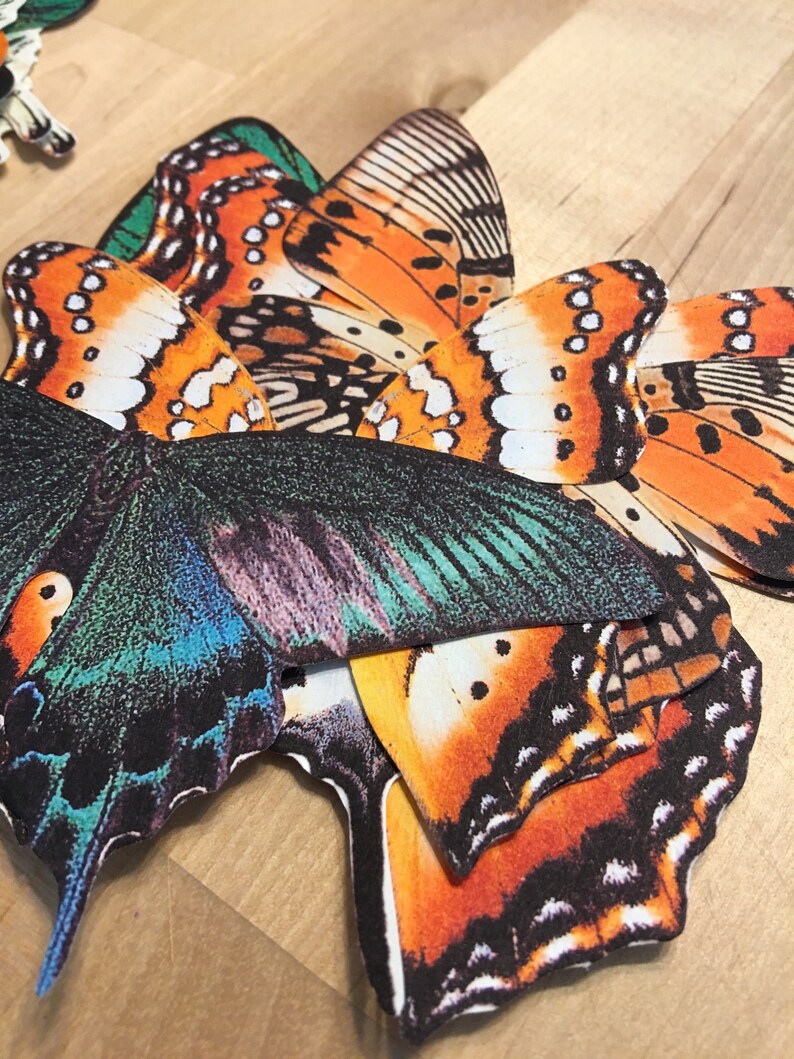 EXOTIC BUTTERFLIES Wall Decoration Monarch Decorative Etsy