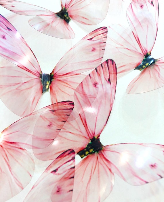 Wallpaper Butterfly Pink 3d