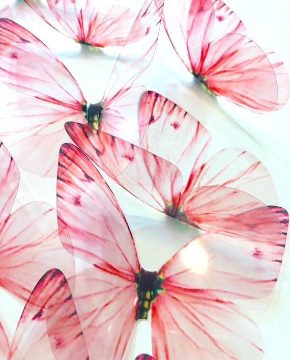 VINTAGE ROSE Butterflies 3D Blush Pink Butterfly Ombre Etsy
