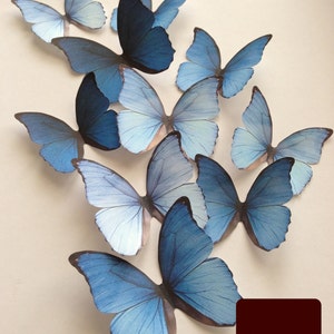 BLUE RAINBOW decorative butterflies - wall art decoration - blue ombre cardstock butterfly - cut outs butterfly embellishment - Uniqdots