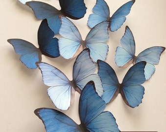 OMBRE BLUE decorative butterflies - wall decoration - blue cardstock butterfly embellishment - butterflies wall art decoration - Uniqdots