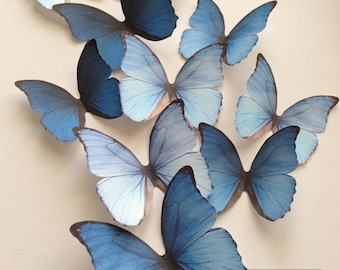 OMBRE BLUE decorative butterfly, home decor, Blue morpho home decor butterfly, something blue, butterfly wall art