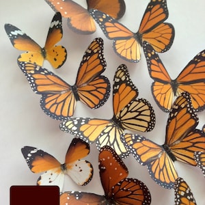 DÉCORATION MURALE MONARQUE - papillons décoratifs - installation de papillon monarque - art mural - papillons monarques en papier cartonné - découpes