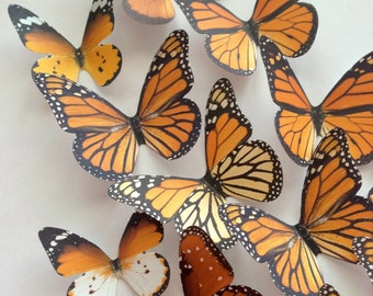 Adhesive Monarch butterfly - WALL decoration - decorative butterflies - Cardstock paper monarch butterflies - orange butterfly - Uniqdots