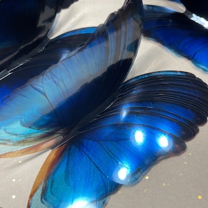 Blue rainbow decorative butterflies - 3D Plastic butterflies - Ombre blue butterfly collection - Something blue - Butterfly wall decor