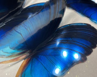 Blue rainbow decorative butterflies - 3D Plastic butterflies - Ombre blue butterfly collection - Something blue - Butterfly wall decor