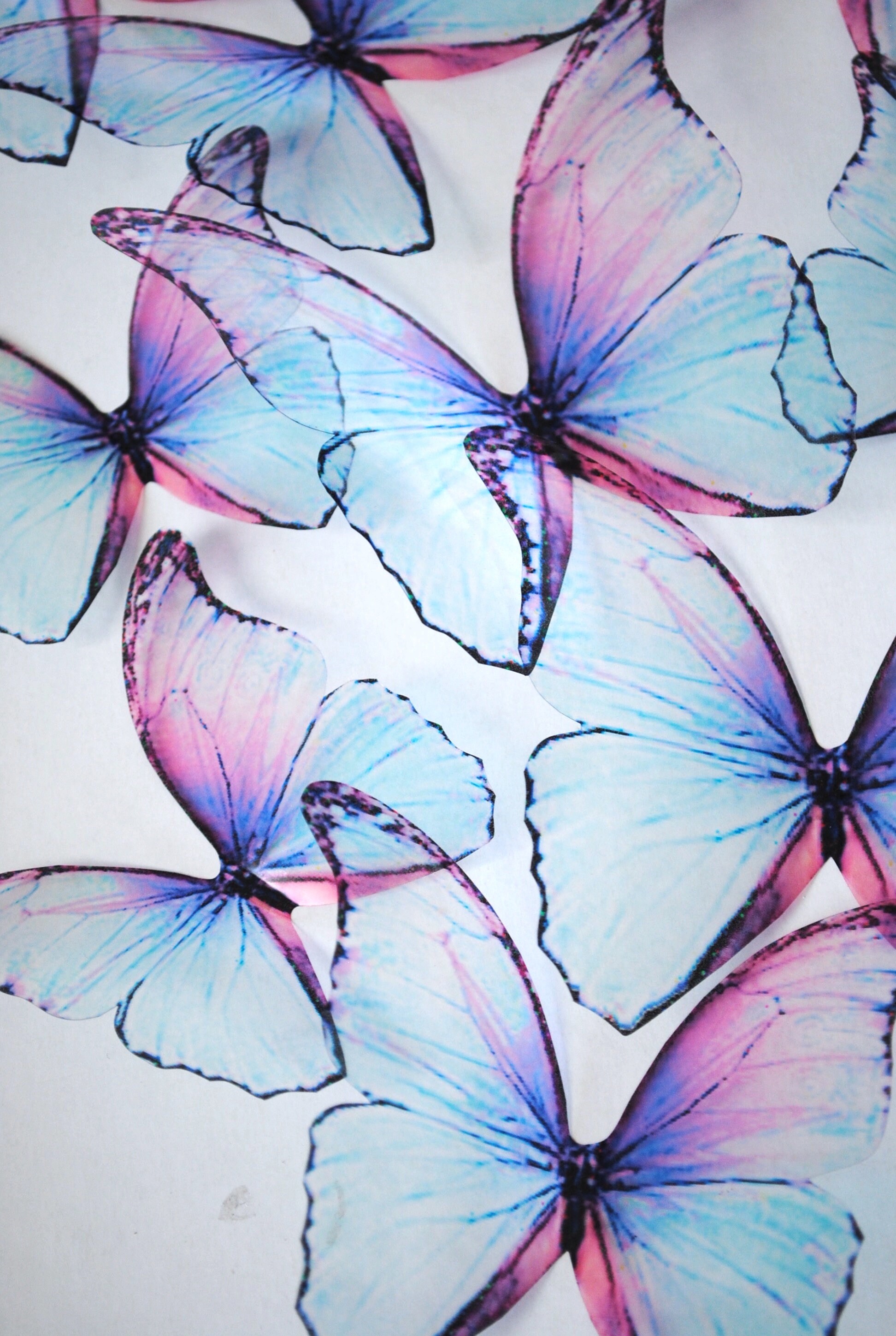 Frozen blue butterflies 3D blue transparent butterfly | Etsy