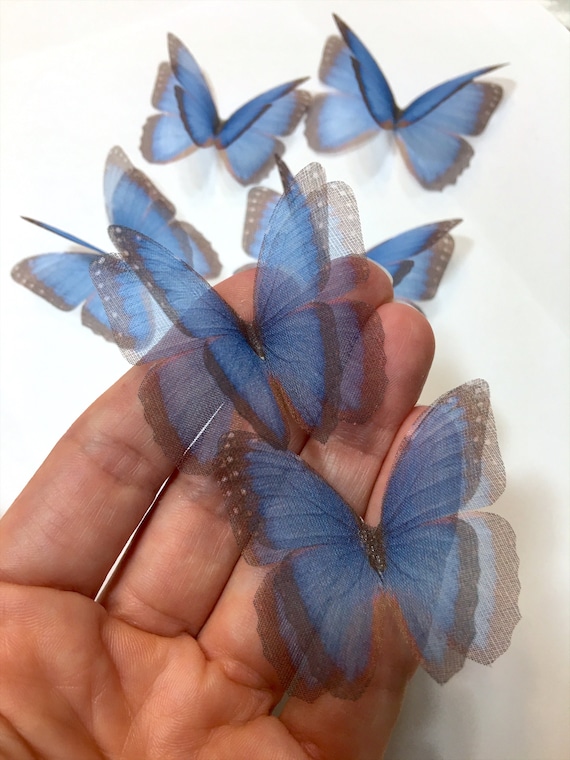 Download Silk Blue Butterfly 3d Light Blue Morpho Butterfly Etsy