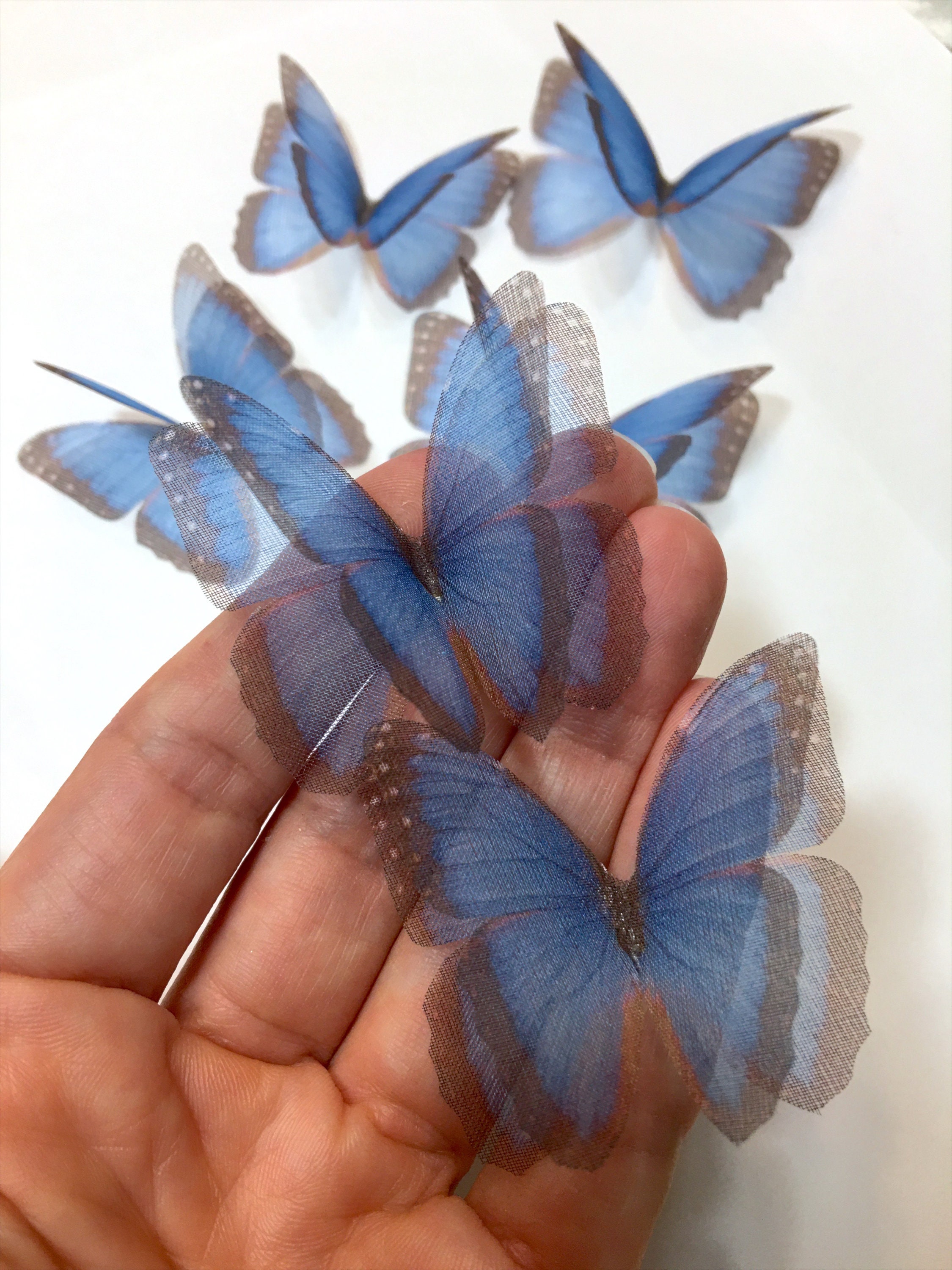 Silk Blue Butterfly 3d Light Blue Morpho Butterfly Etsy