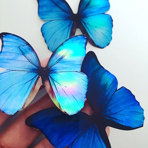 Blue Rainbow Holographic Butterfly - laptop Sticker Vinyl Decal - Blue Morpho decorative butterfly - Iridescent Blush butterfly stickers