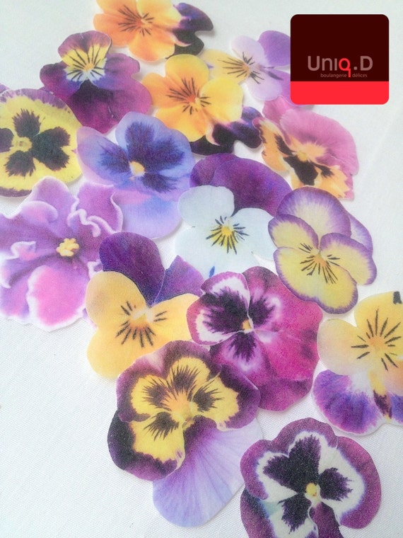 Buy 25 Get 5 Free Edible Cake Decoration Edible Flowers Etsy