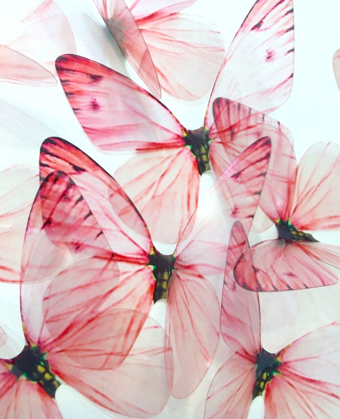 BLUSH ROSE Butterflies 3D Blush Pink Butterfly Ombre Pink Etsy Norway