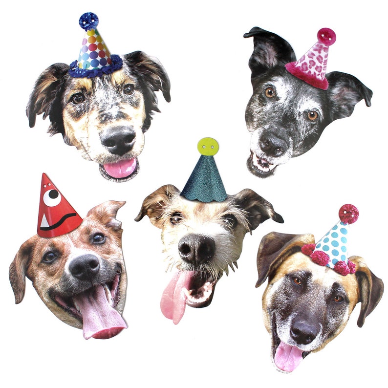Mutts Dog Birthday Garland Printed Both Sides on Heavy Card Etsy