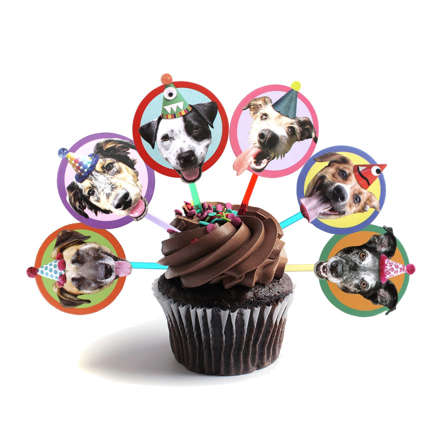 cupcake dog lover