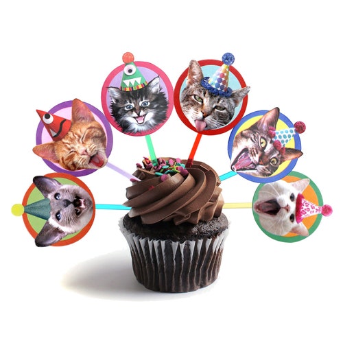 Cat Cupcake Toppers Cat Party Cupcake Toppers Cat Faces Etsy