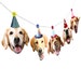 Golden Retriever Dogs Birthday Garland - photo reproductions on heavy card stock - funny golden retriever portraits birthday banner 