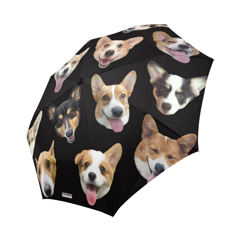 Umbrella dog umbrella funny photos of dogs Etsy