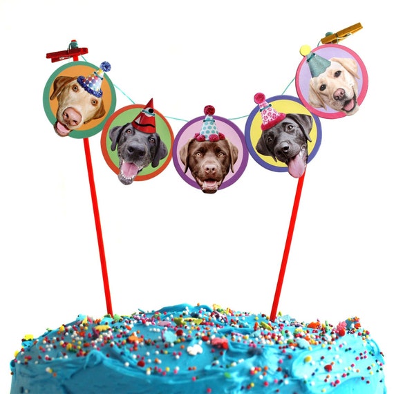Labrador perros cumpleaños pastel guirnalda reproducciones - Etsy México
