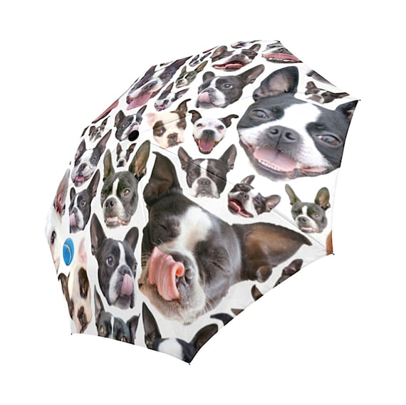 Boston Terrier Umbrella Boston Terrier Umbrella
