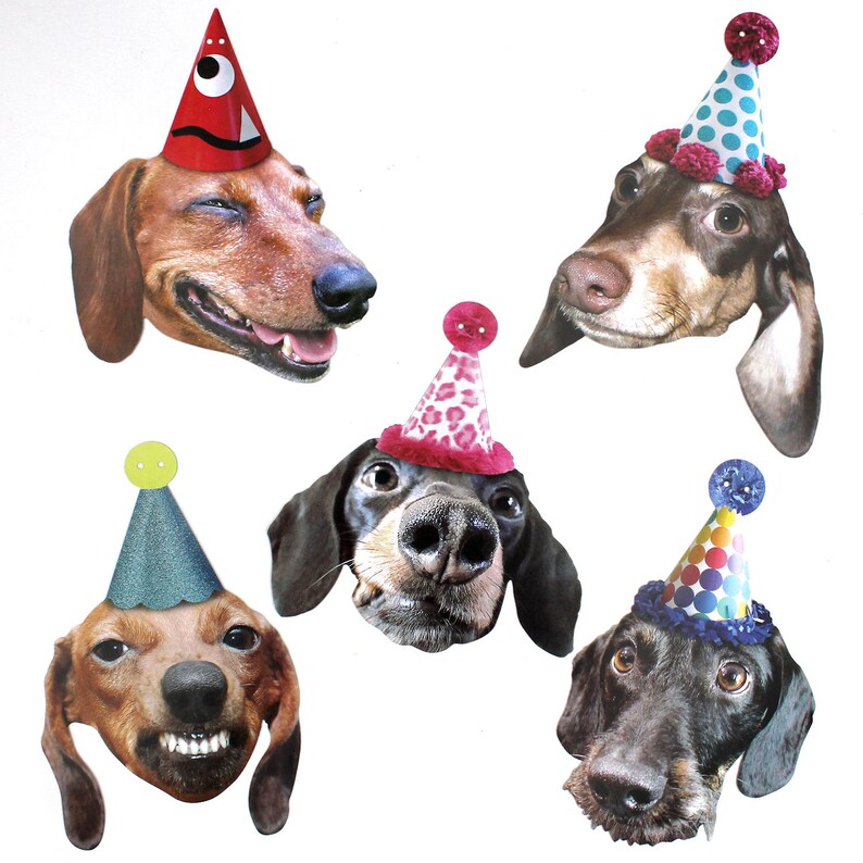 Dachshund Dogs Birthday Garland photo reproductions on