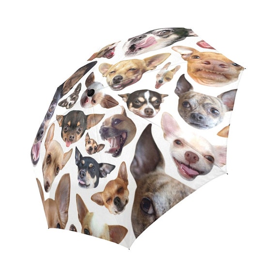 Chihuahua Umbrella Chihuahua Umbrella