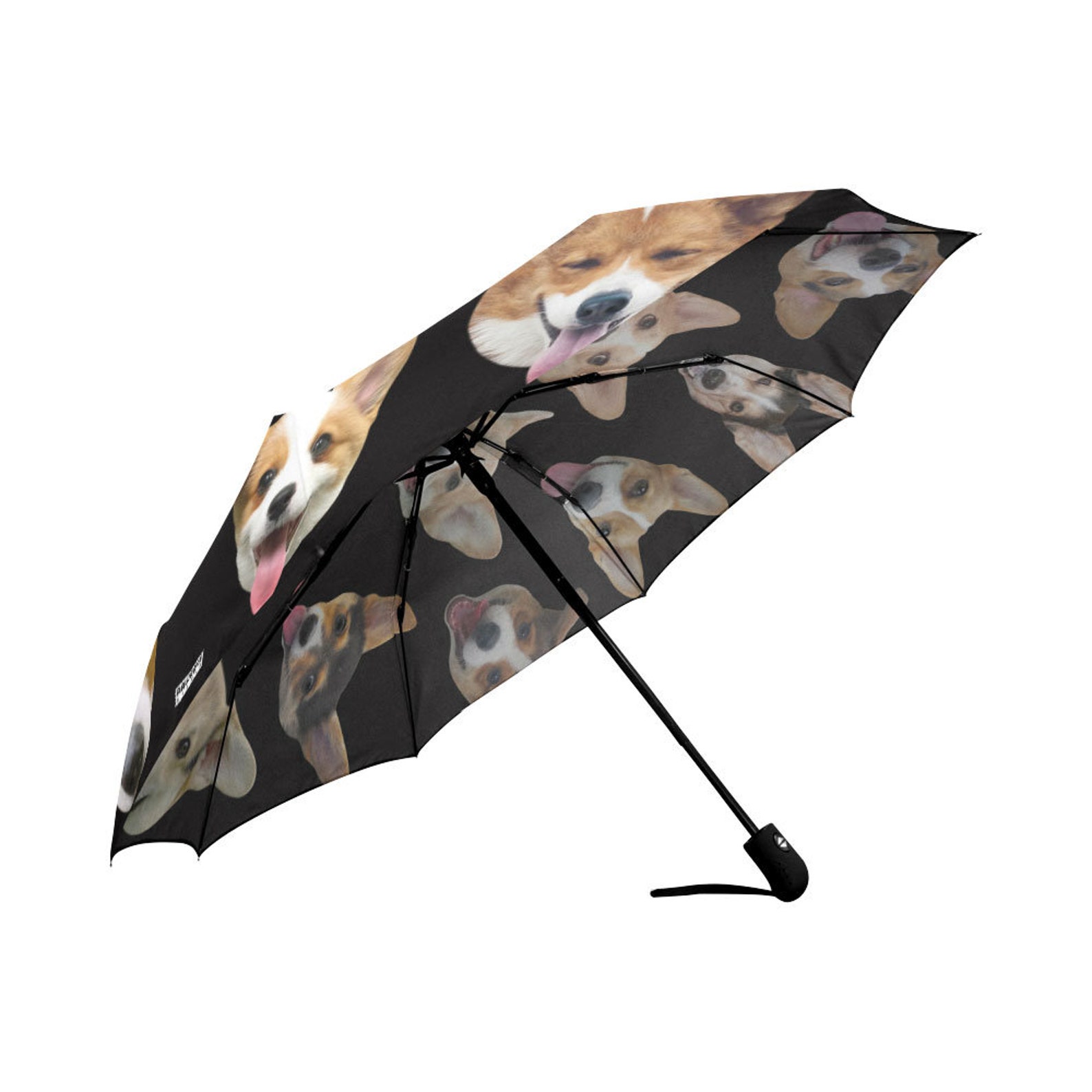 Umbrella Dog Umbrella Funny Photos of Dogs Etsy