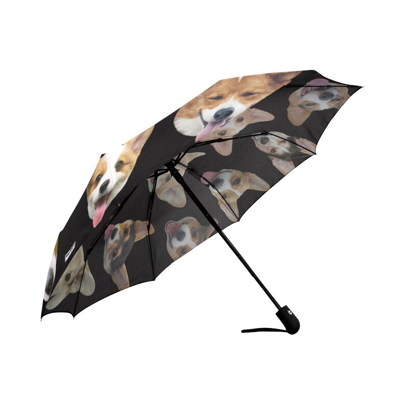 Umbrella Dog Umbrella Funny Photos of Dogs Etsy