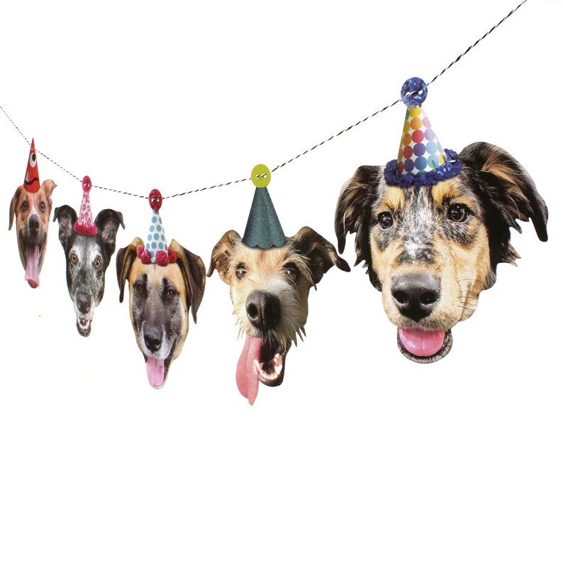 Mutts Dog Birthday Garland Printed Both Sides on Heavy Card Etsy