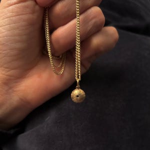 Puede incluir: Un collar de cadena de oro con un pequeño colgante de erizo de mar dorado.