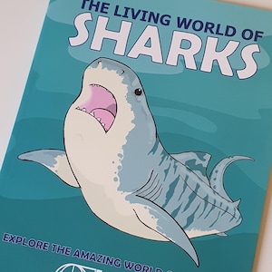 Le monde vivant des requins - livre pour enfants histoire naturelle vie marine océans vie marine grand requin tigre blanc marteau biologie marine