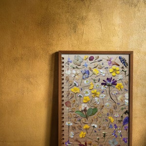 April, May & June - Spring Summer White Yellow Purple Blue Pressed ...