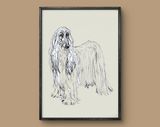 Afghan Hound - Freehand black line dog sketch drawing size A3 art print - cream black white illustration - gift idea