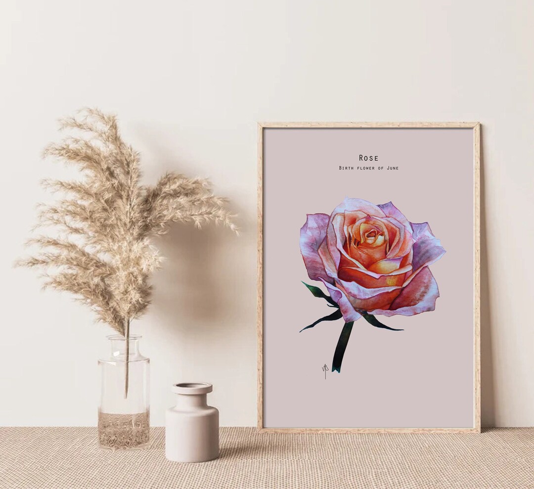 Rose Birth Flower of June Watercolour Painting Size A4 Art Print Illustration Summer Love Symbol