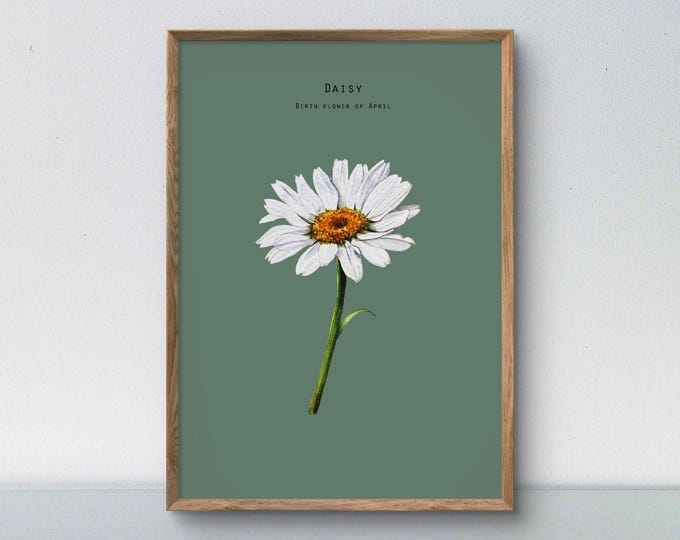 Birth Flower of April - Daisy watercolour painting size A4 art print illustration