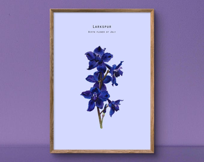 Birth Flower of July - Larkspur - watercolour painting size A4 art print illustration