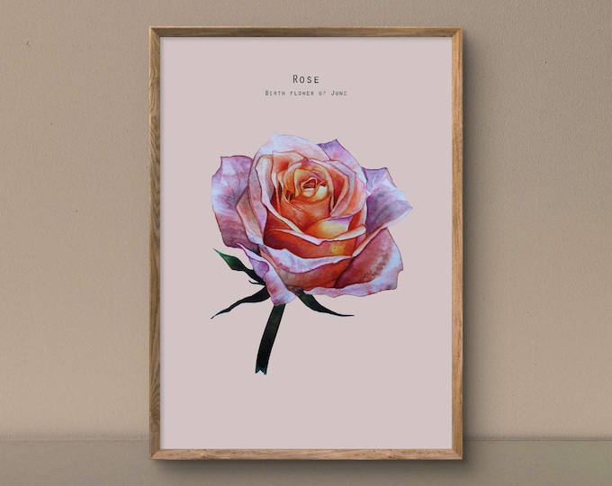 Birth Flower of June - Rose watercolour painting size A4 art print illustration