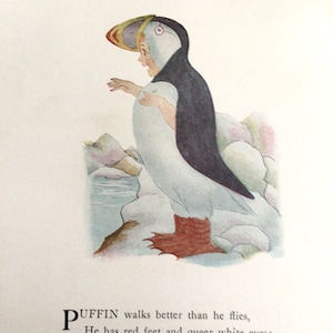 Bird Children, Puffin/Pelican, 2-Sided Vintage Bookprints for Framing by Elizabeth Gordon, 1912