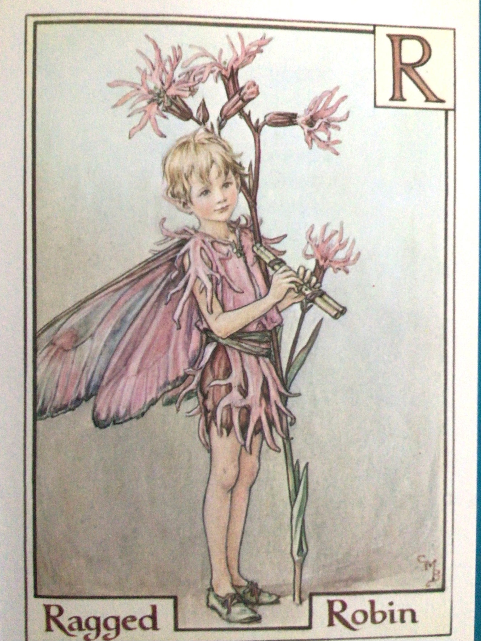 alphabet-flower-fairies-ragged-robin-cicely-mary-barker-small
