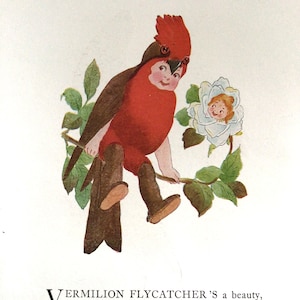 Bird Children, Flycatcher/Turkey Buzzard, 2-Sided Vintage Bookprints for Framing by Elizabeth Gordon, 1912