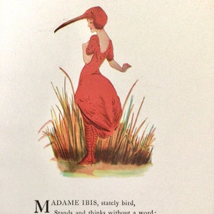 Bird Children, Ibis/Sandpiper,  2-Sided Vintage Bookprints for Framing by Elizabeth Gordon, 1912