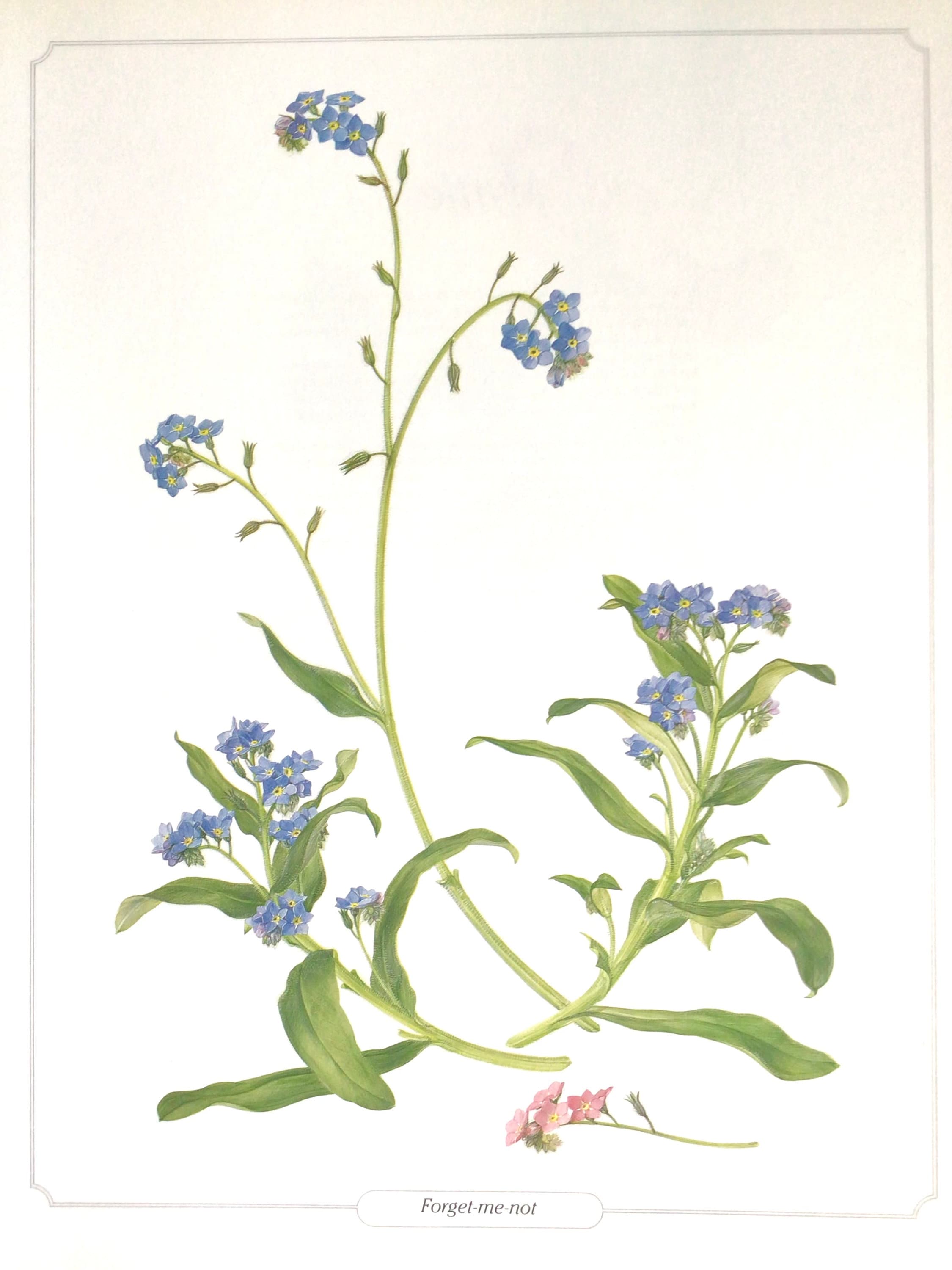 □Blue flower□Juliane Marie□額装３４×２８◇陶板画◇ □Blue flower□Juliane Marie□額装34×28◇陶板画◇ □