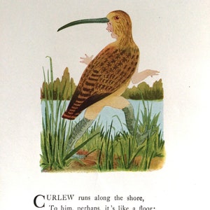 Bird Children, Curlew/Yellow Warbler, 2-Sided Vintage Bookprints for Framing by Elizabeth Gordon, 1912