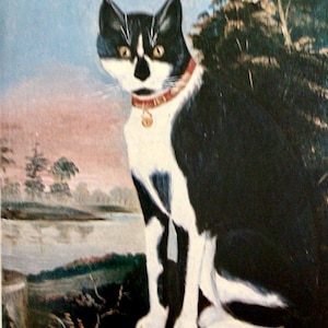 R.P. Thrall, Minnie From the Outskirts of the Village, Primitive,  Vintage Book Print, Unframed Cat Print, Wall Art