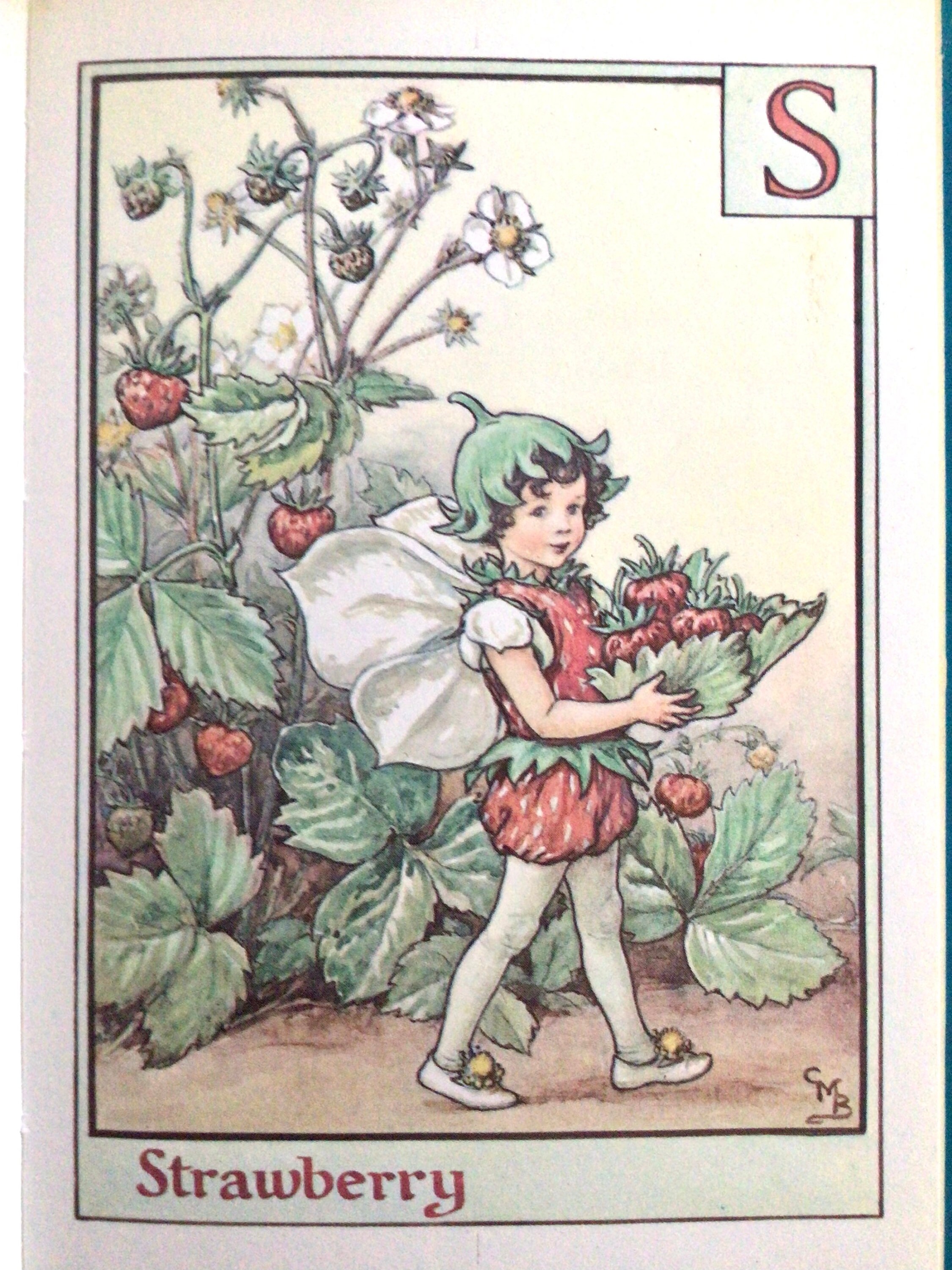 Cicely mary barker flower fairies alphabet
