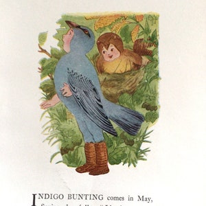 Bird Children, Indigo Bunting/Eagle, 2-Sided Vintage Bookprints for Framing by Elizabeth Gordon, 1912