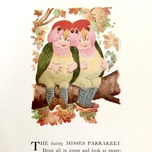 Bird Children, Parrakeet/Albatross, 2-Sided Vintage Bookprints for Framing by Elizabeth Gordon, 1912