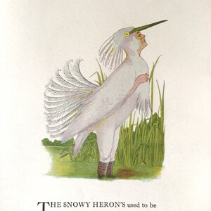 Bird Children, Partridge/Snowy Heron, 2-Sided Vintage Bookprints for Framing by Elizabeth Gordon, 1912