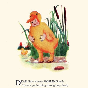 Bird Children, Gosling/Guinea Hen, 2-Sided Vintage Bookprints for Framing by Elizabeth Gordon, 1912