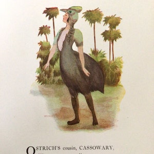 Bird Children, Cassowary/Barn Owl,  2-Sided Vintage Bookprints for Framing by Elizabeth Gordon, 1912